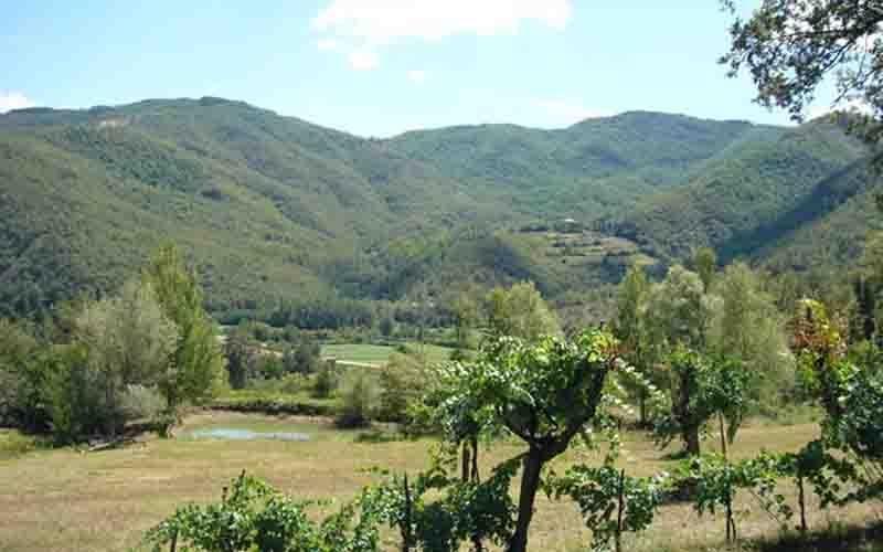 Villa Il Corniolo Morra Eksteriør billede